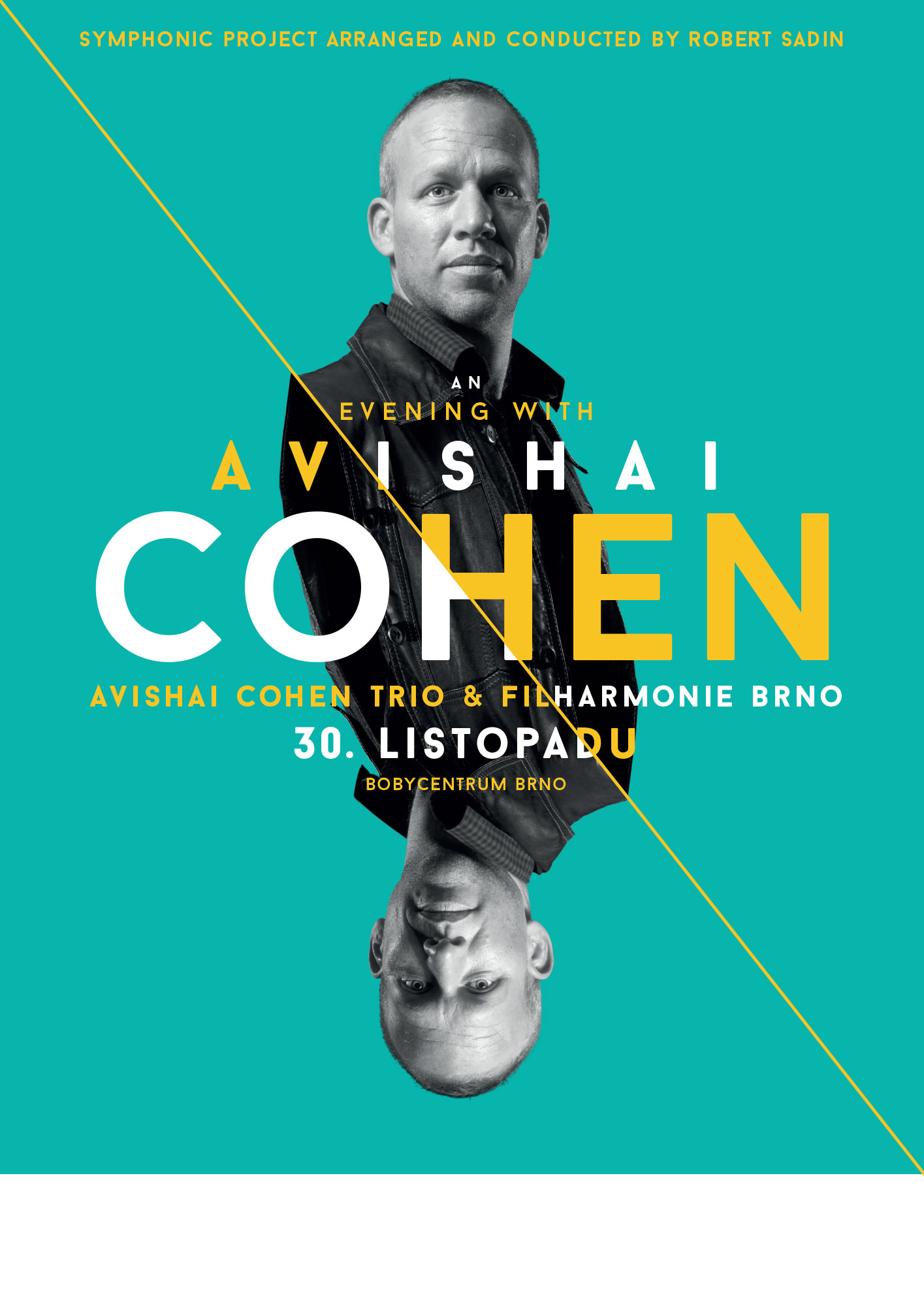 Avishai Cohen - Brno 2015
