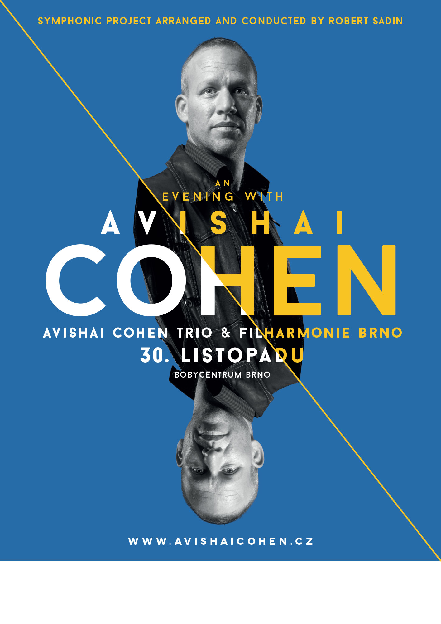 Avishai Cohen - Brno 2015