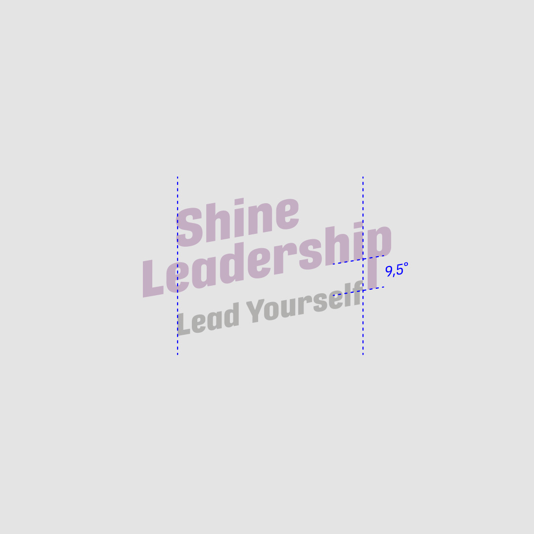 shine-leadership-square-3-3